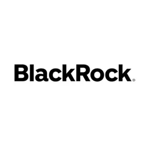 Black Rock Logo