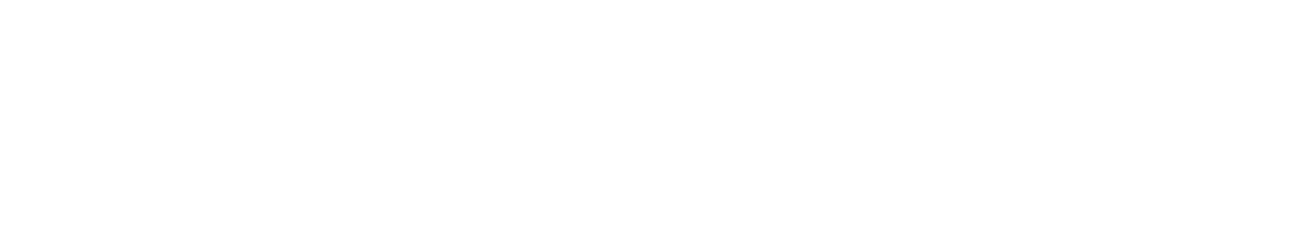 NAST logo - National Association of State Treasurers